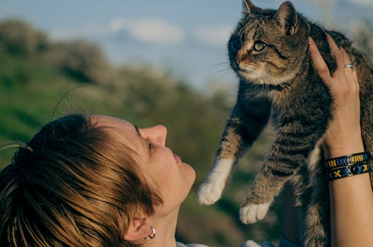 Master Cat Communication: Tips to Deepen Your Bond with Your Feline Friend