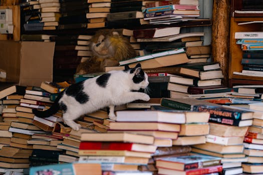 Title: Cats in Culture: Exploring Their Symbolic Impact in Media & Literature