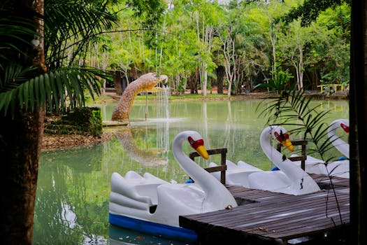 Managing Cat Allergies: Tips for Comfortable Living with Your Pet