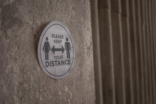 Combat Feline Obesity: Strategies to Keep Your Cat Healthy and Active