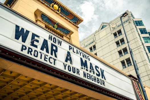 Protecting Your Cat from Parasites: Prevention and Health Impacts