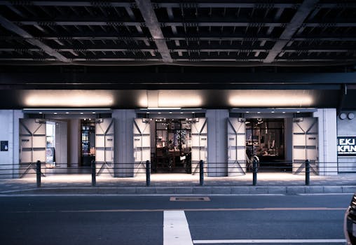 Ultimate Guide to Enriching Indoor Cat Lives: Beyond Basic Needs