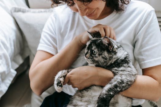 Find Your Purr-fect Match: How to Choose the Right Cat for Your Lifestyle