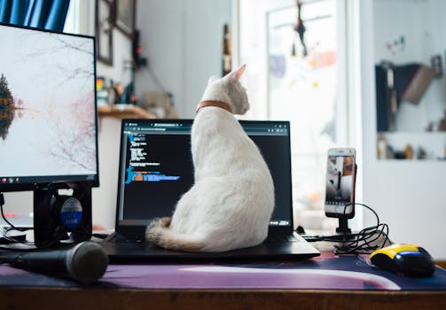 From Screen Stars to Meme Makers: The Unstoppable Rise of Cats in Pop Culture