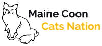 Maine Coon Cats Nation